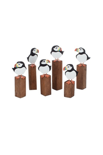 Wee Puffin on Log